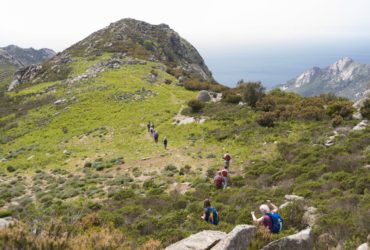 Walking Festival 2017
